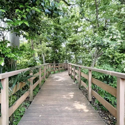 目白台運動公園わんわん広場