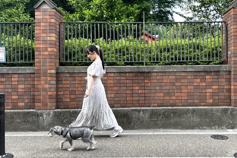 治安の良い文京区千石エリア