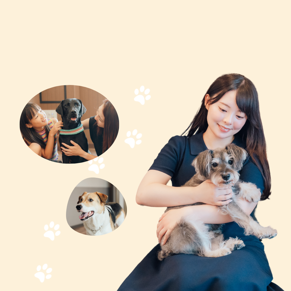 犬と女性の画像