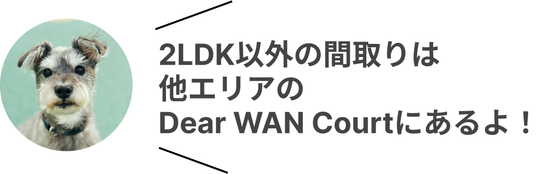 2LDK以外の紹介