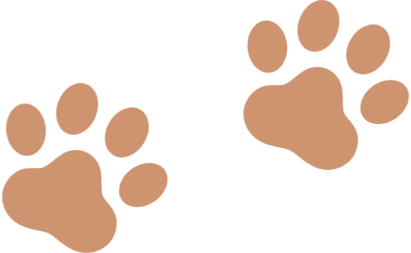 犬の足跡