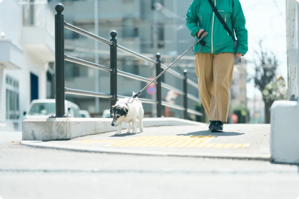 犬と飼い主