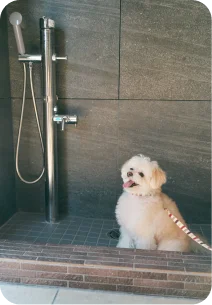 ペット足洗い場