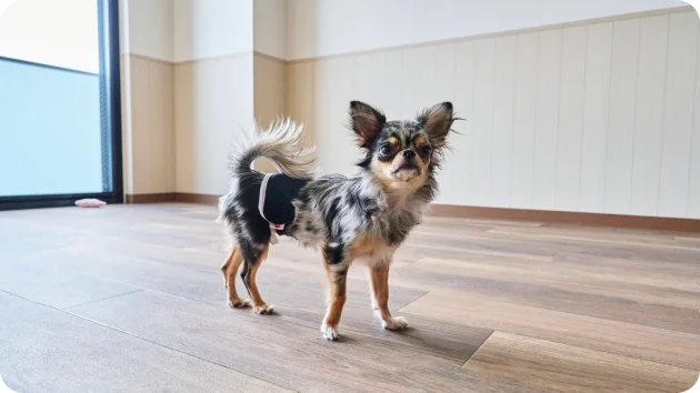 滑りにくい床材