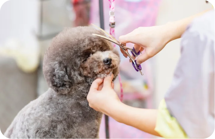 ペットサロン・ホテル