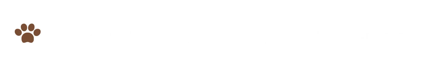 DearWANCourt小竹向原