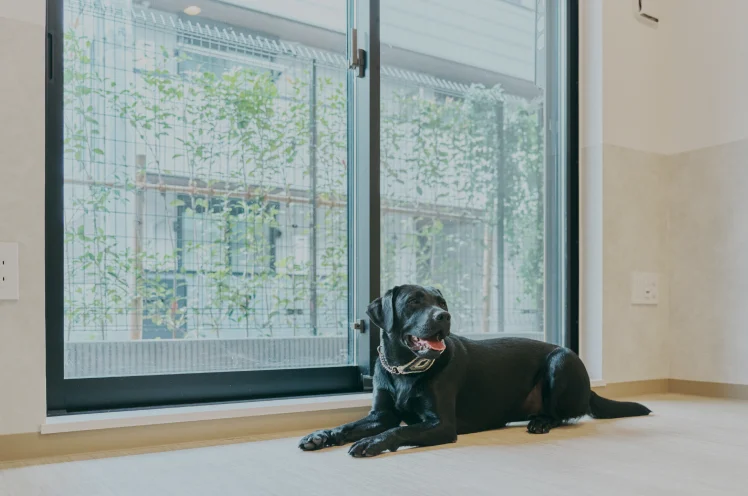 募集中のお部屋