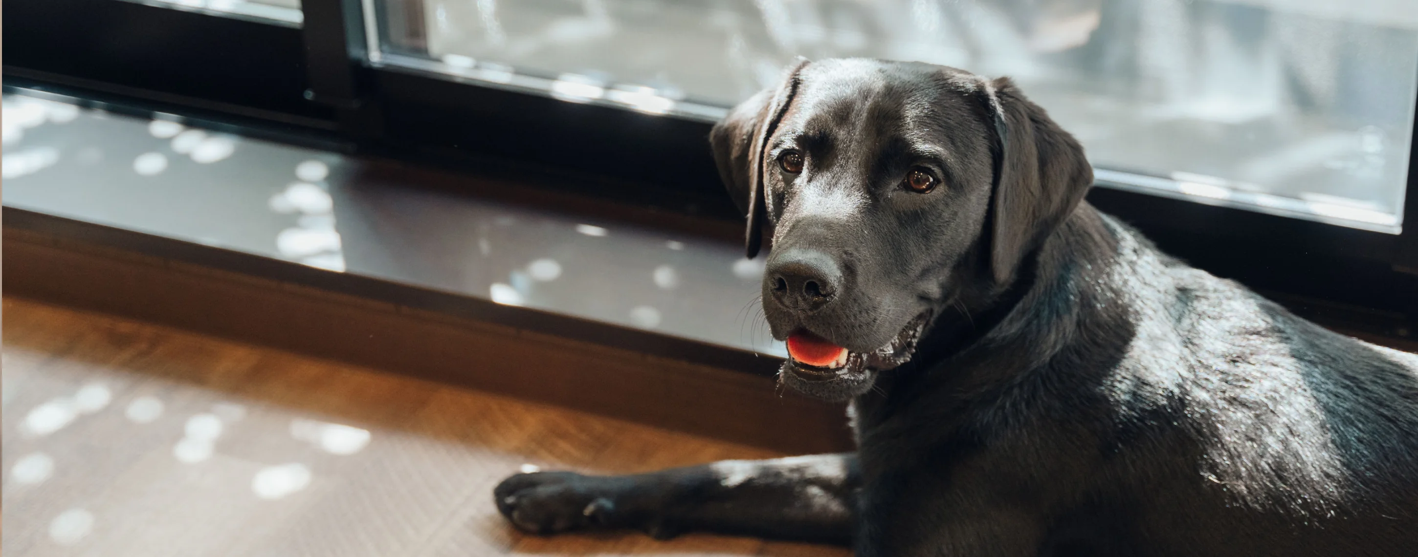 ディアワンコート小竹向原