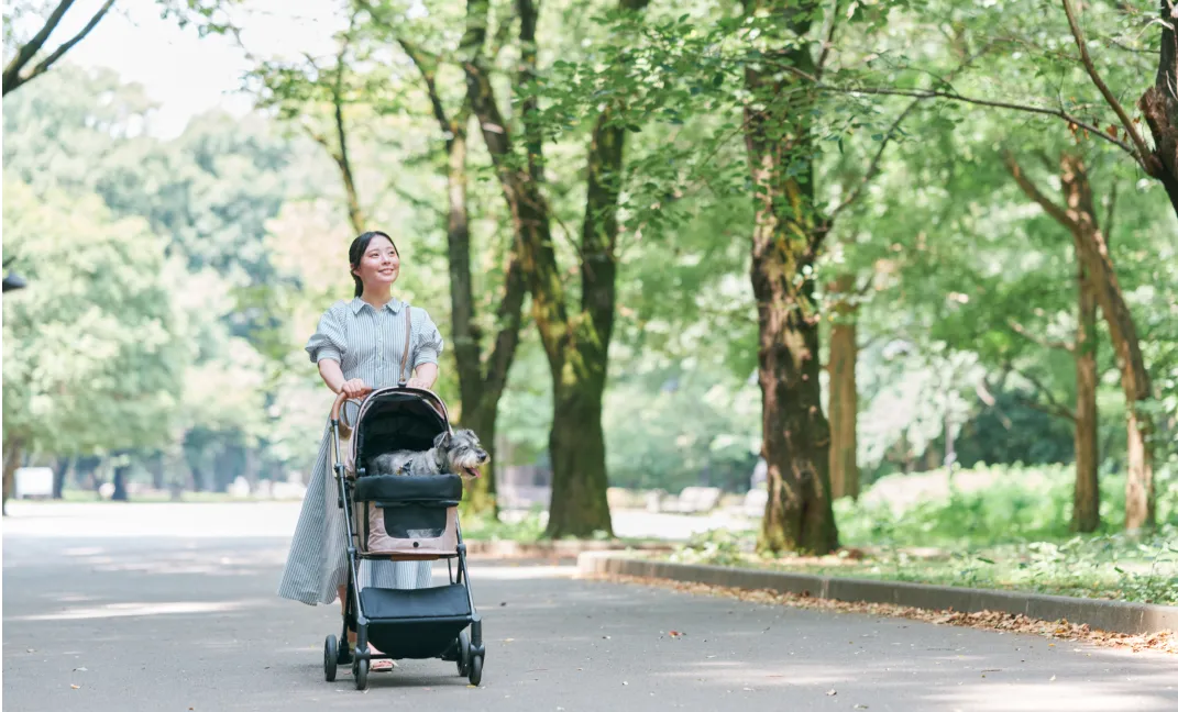 光が丘公園