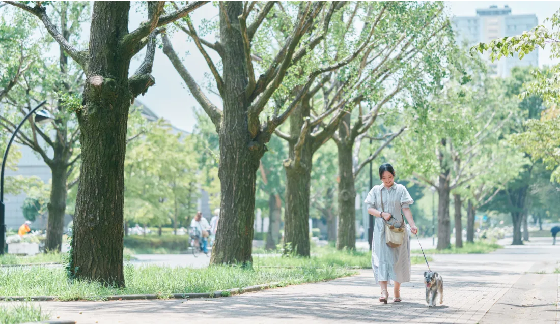 公園