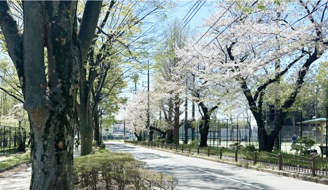 公園