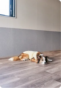 床暖房