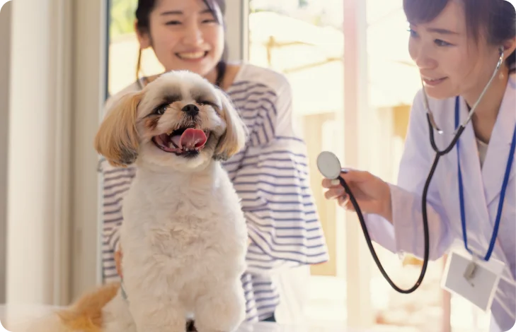 動物病院