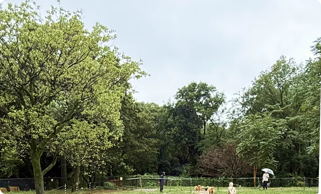蘆花恒春園