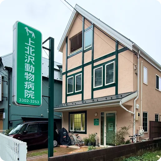 動物病院