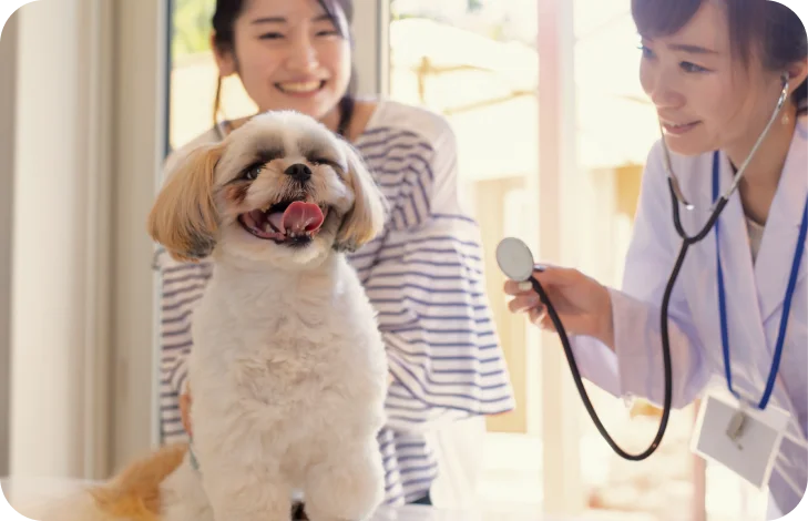 動物病院