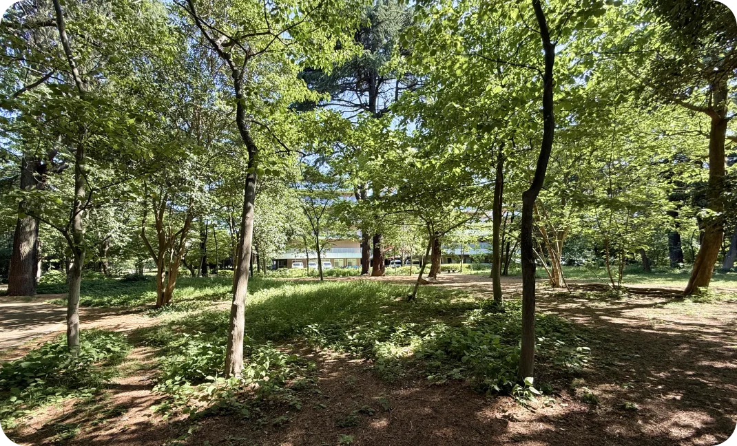 江古田の森公園
