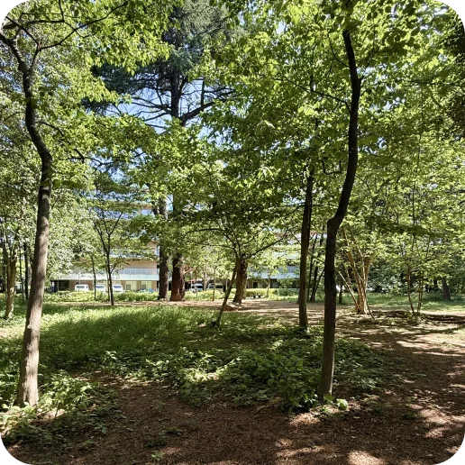 城北中央公園