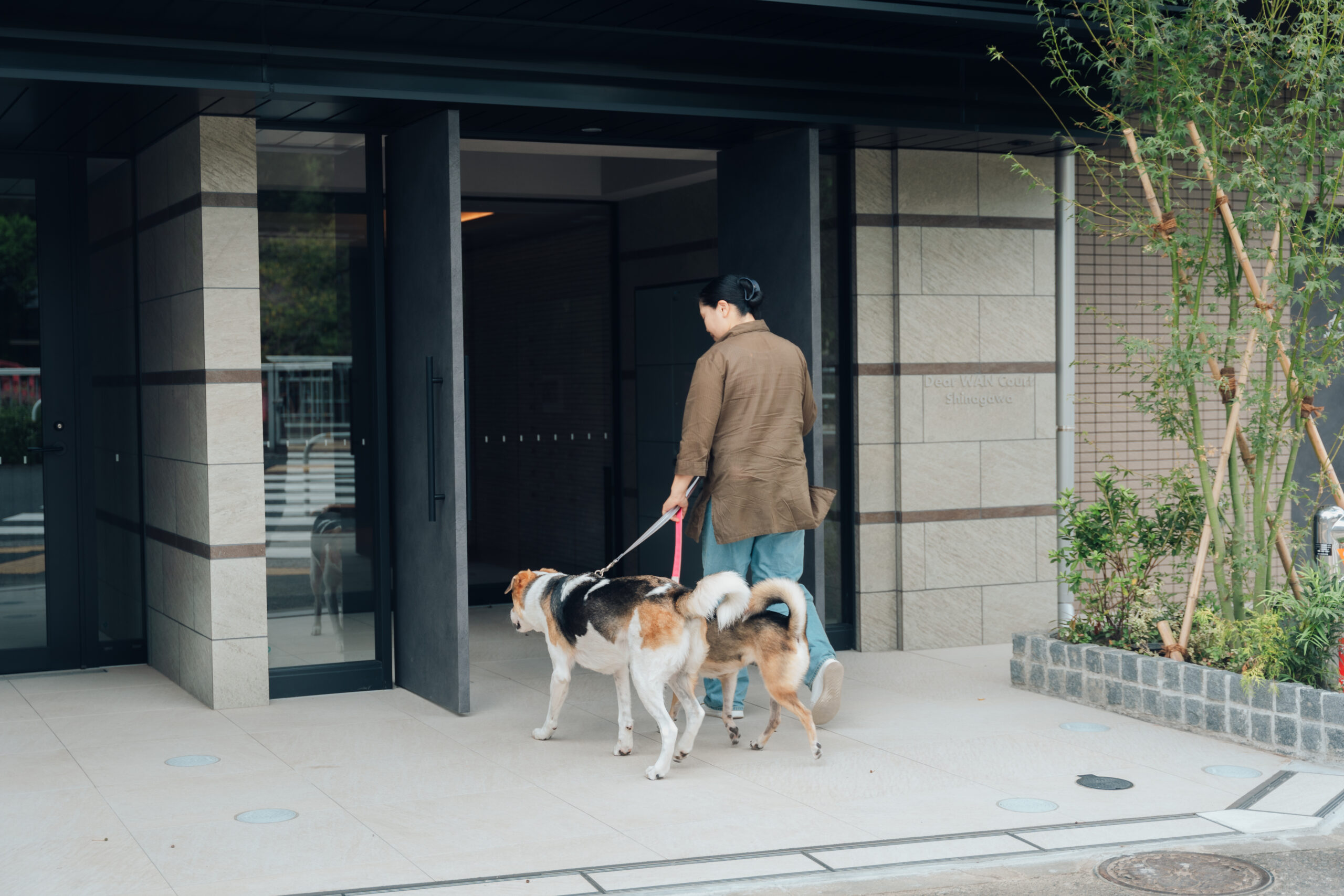 品川区で愛犬との快適な暮らしが叶うDear WAN Court（ディアワンコート）品川