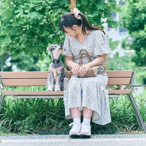 愛犬との散歩や街歩きにぴったりの周辺環境