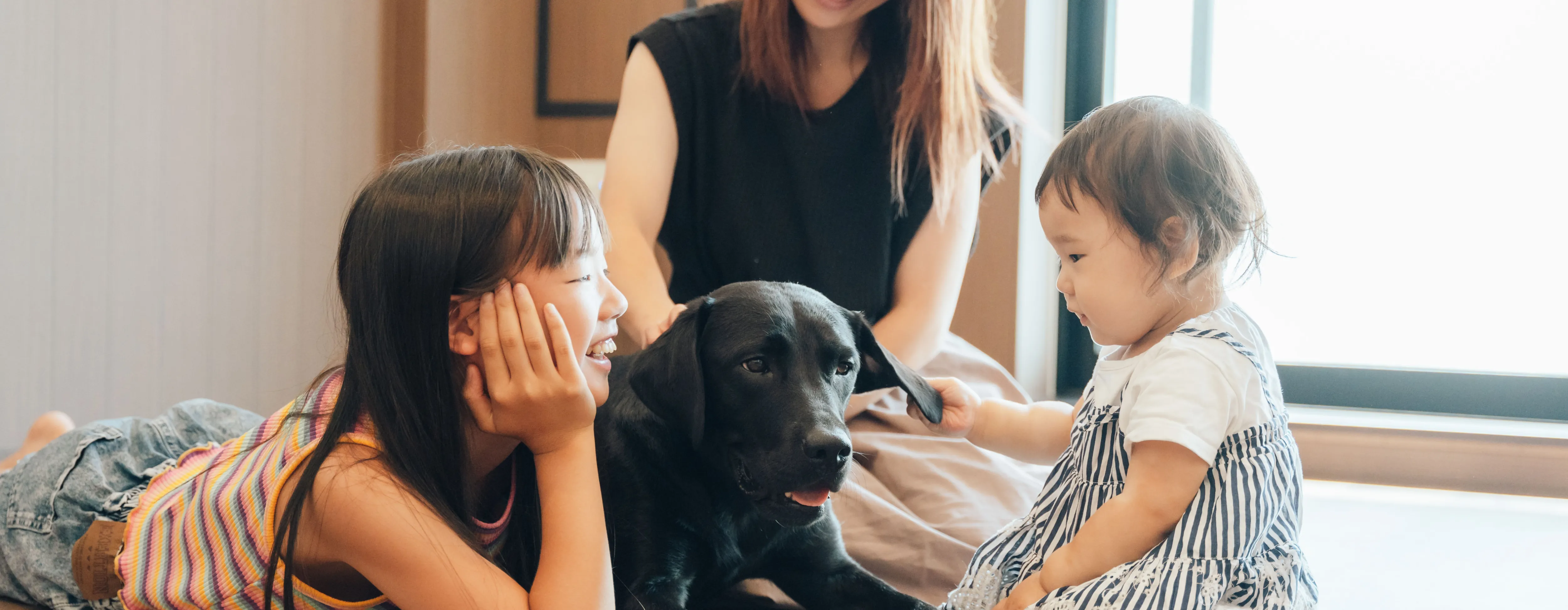 大型犬・多頭飼いOK｜ペット共生型マンションDear WAN Court