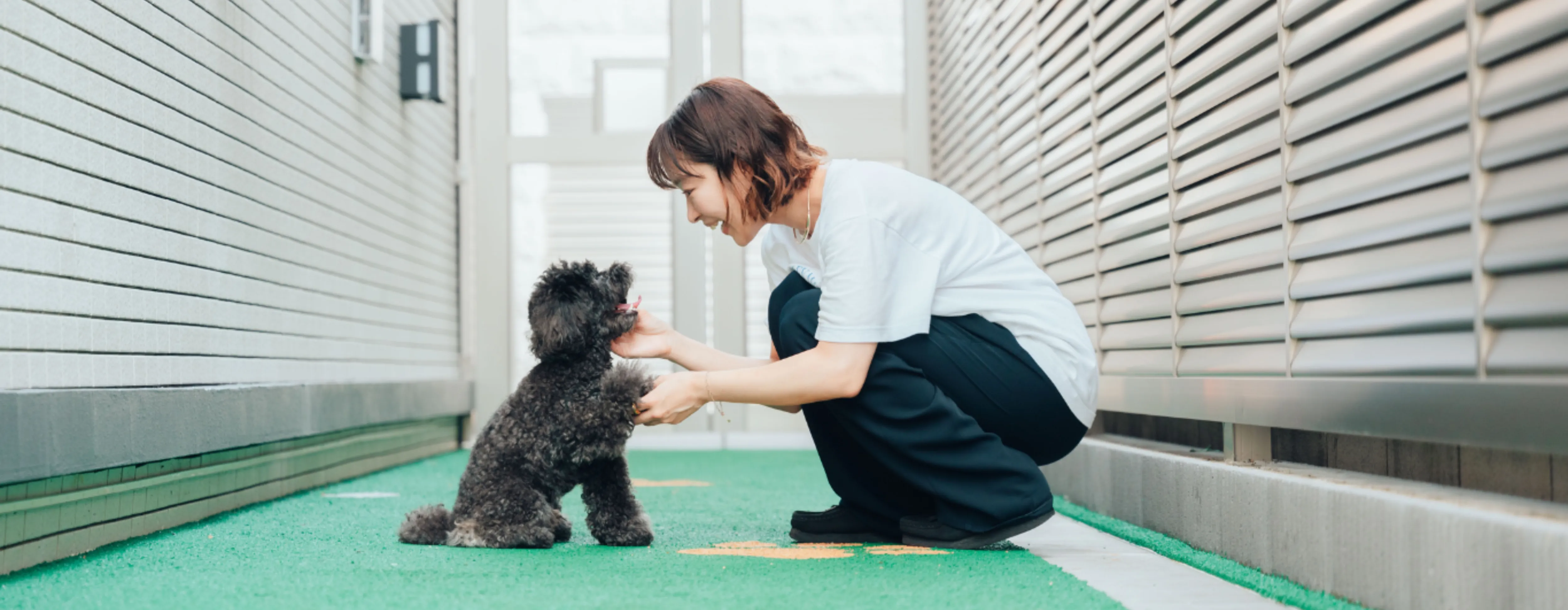 大型犬・多頭飼いOK｜ペット共生型マンションDear WAN Court
