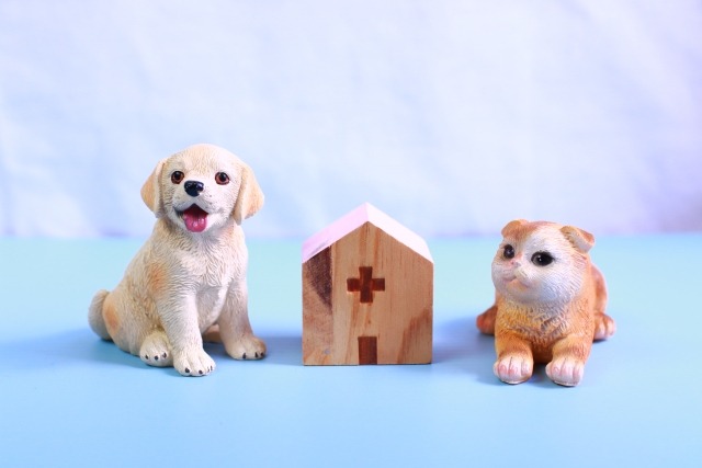 犬と猫の人形の間に病院の置物がある