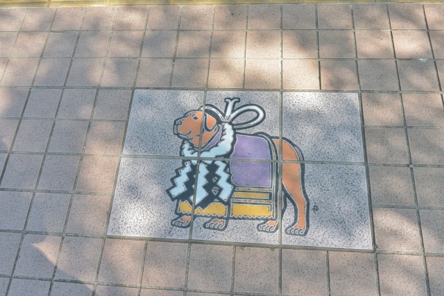 地面に描かれた土佐闘犬