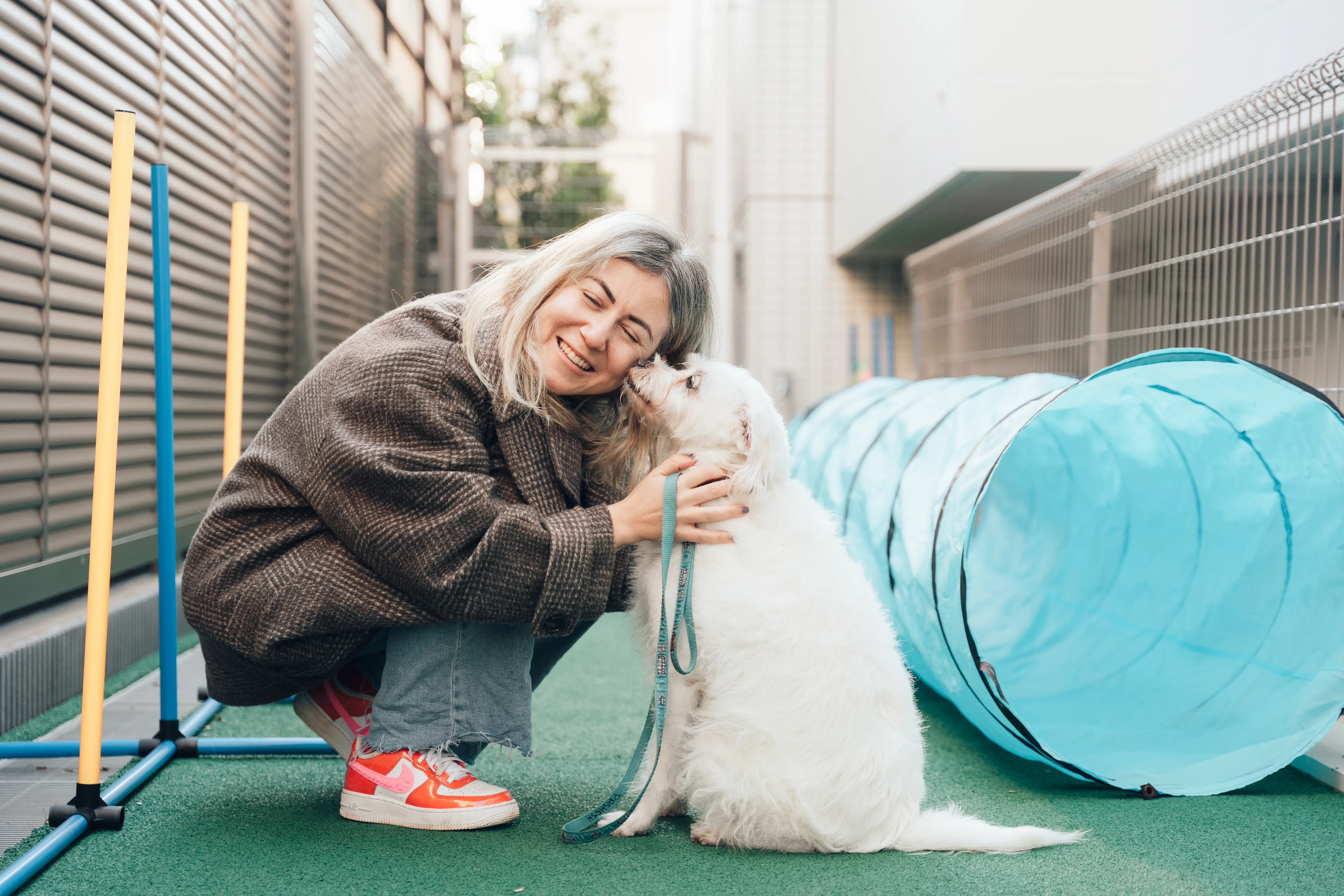 子犬や高齢犬にも優しい作りで安心しました。