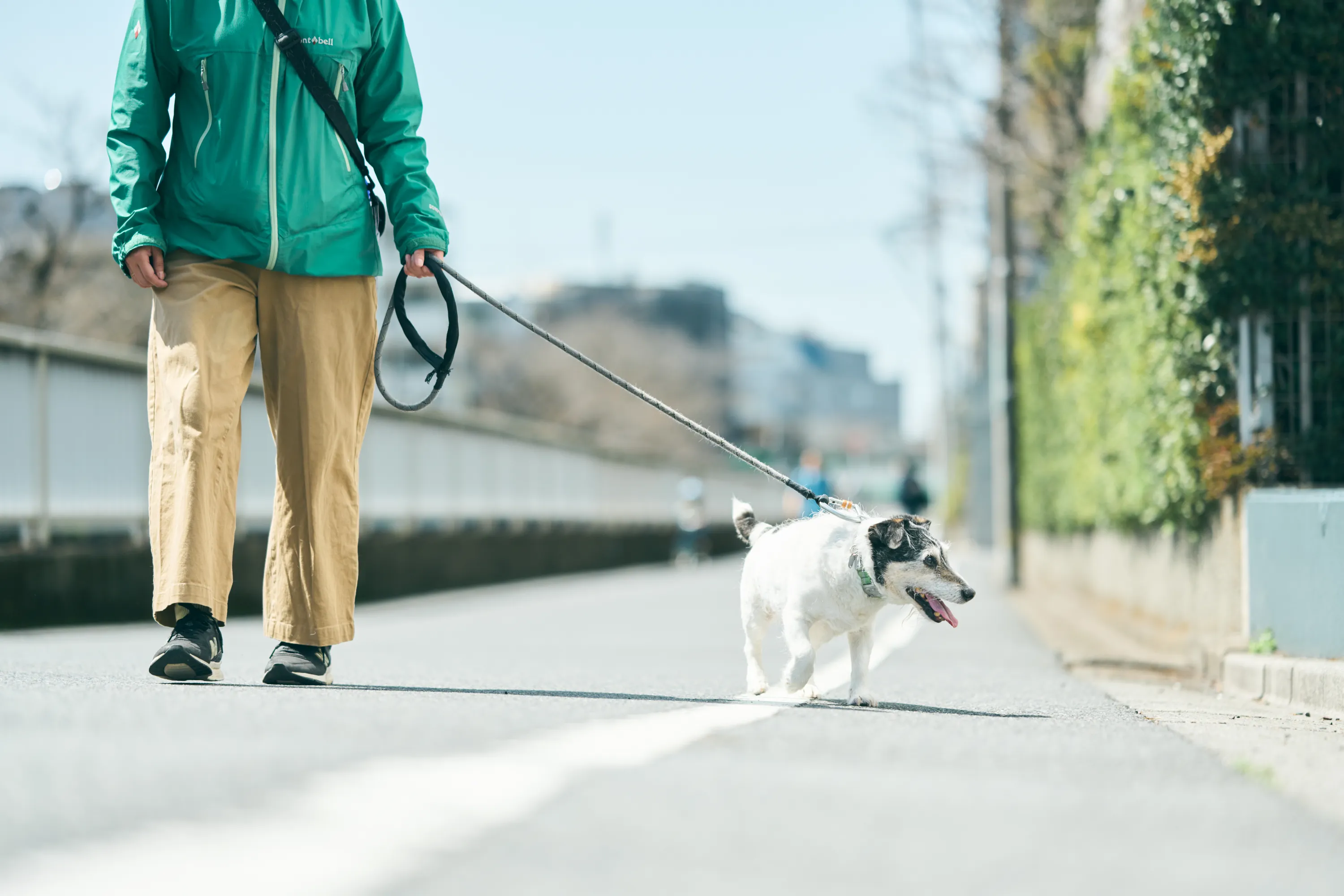 子犬や高齢犬にも優しい作りで安心しました。