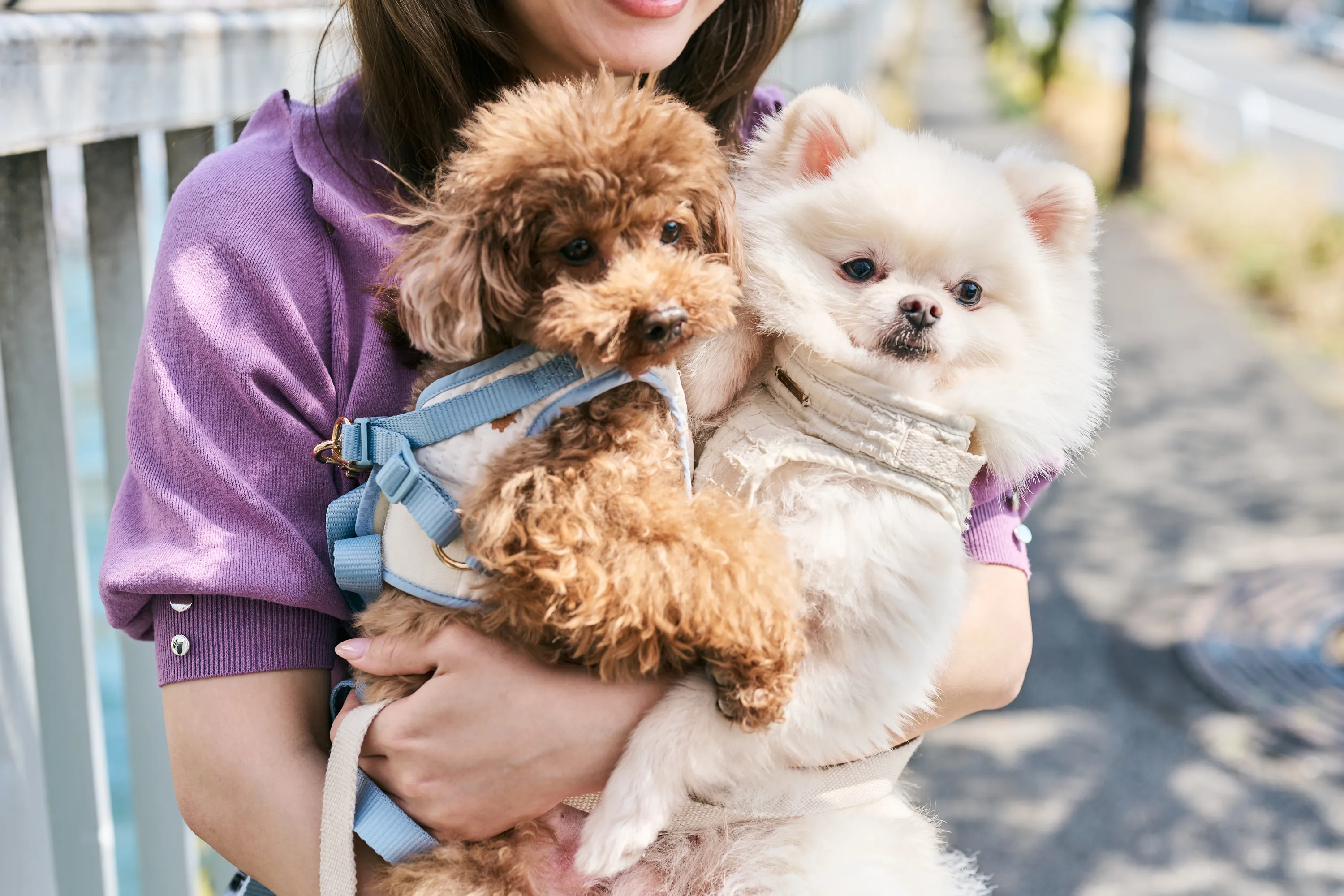 愛犬と一緒に内見ができて良かったです。
