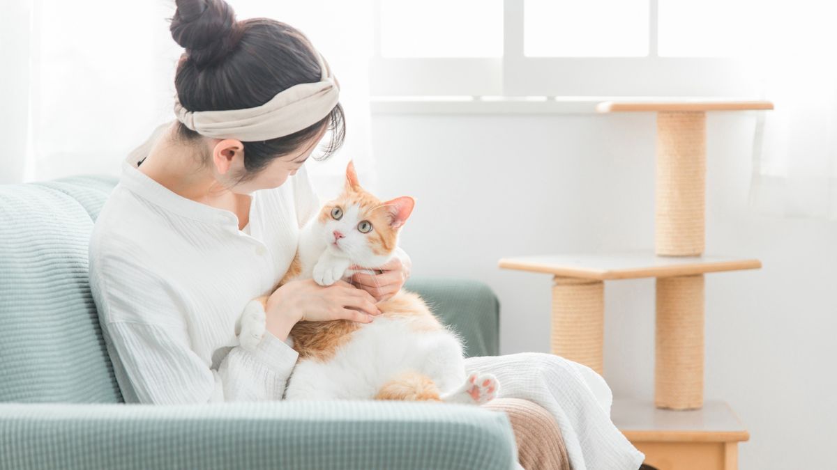 猫を抱いて顔をのぞきこむ女性の写真